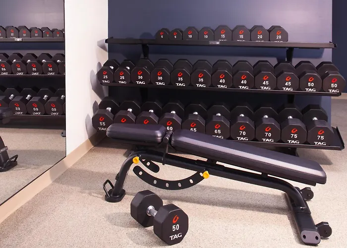 Hotel Royer Urbana Champaign, Tapestry Collection By Hilton